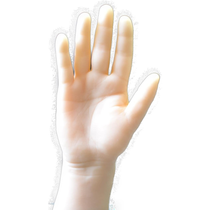 Мастубатор для жінок від HS Systeme - реалістичний дизайн