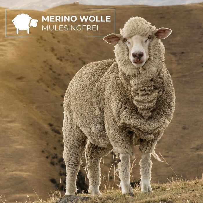 Спортивна шапка Giesswein Merino Cap Gehrenspitze з мериносової вовни, унісекс, темно-синя, один розмір