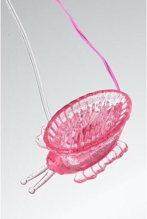 Насос для клітора Butterfly - Klitorispumpe