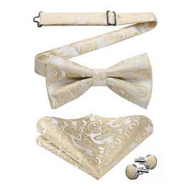 Набір чоловічих аксесуарів HISDERN: метелик з візерунком пейслі, кишенкова хустка та запонки, бежевий колір (A1) — готовий комплект для весілля та свят