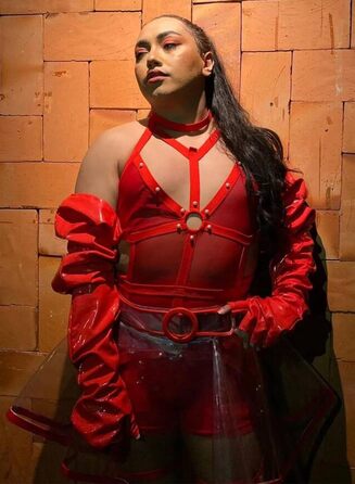 Еволюст - Комплект спідньої білизни для жінок (4XL, Червоний/Подорож, Однотонний (Getaway Solids))