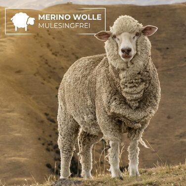 Спортивна шапка Giesswein Merino Cap Gehrenspitze з мериносової вовни, унісекс, темно-синя, один розмір